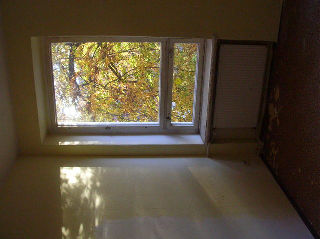 640x480/DSCN7267.JPG