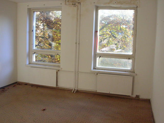 640x480/DSCN7271.JPG