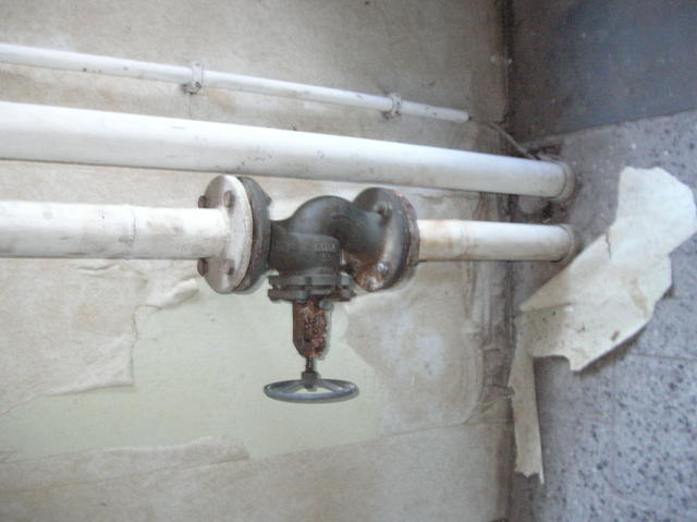 640x480/DSCN7277.JPG
